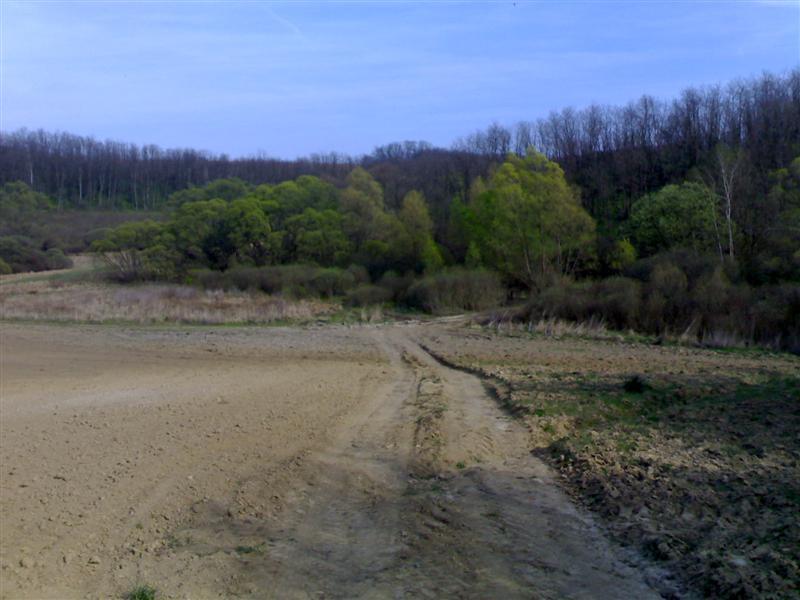 200704091750 .jpg